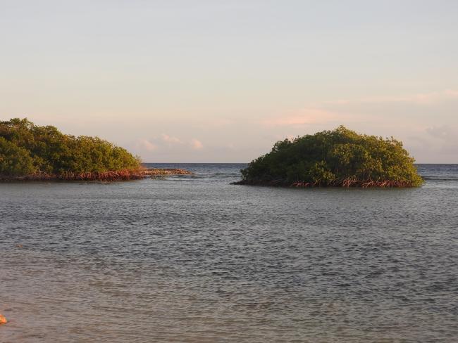 One of the islets that is part of a chain of islands in front of the coast.
