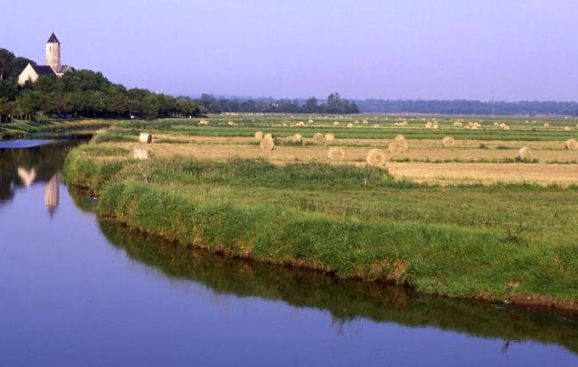 prairies et rivière