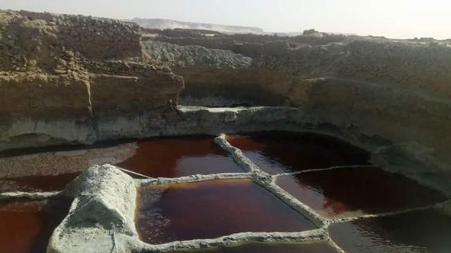 Oasis du Kawar