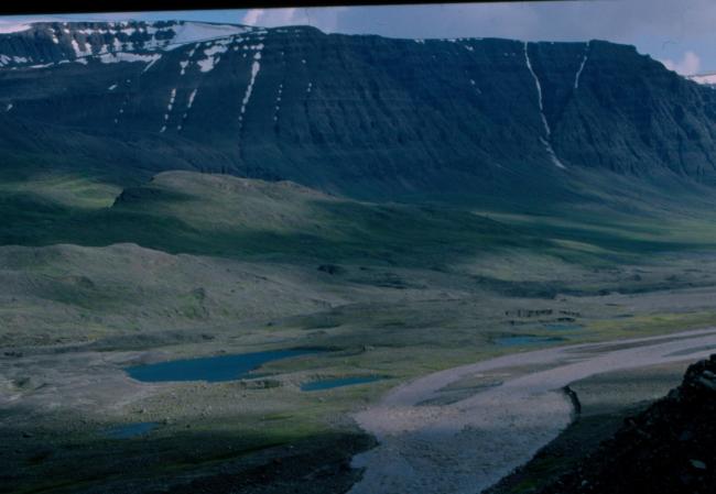 Central part of the valley.
