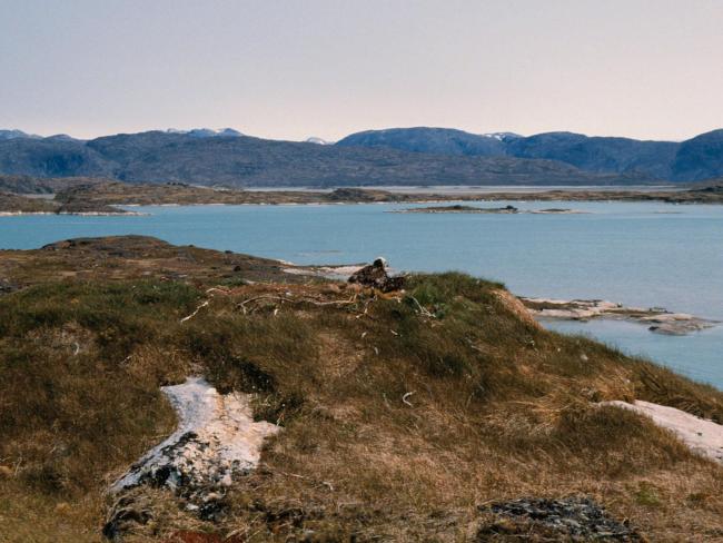 White-tailed Eagle nest overlooking the western part of the site.
