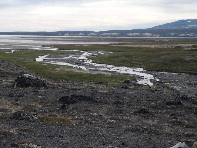 The tidal mudflats in the bay.