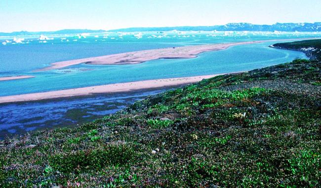 Coastal lagoon on south side of Aqajarua/Mudderbigten.