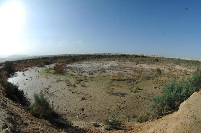 Overview