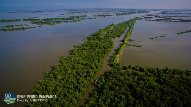 Mangrove Forest within the SPCW