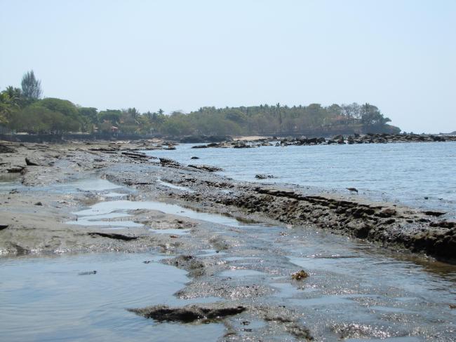 Playa Los Cobanos, Arrecife Rocoso