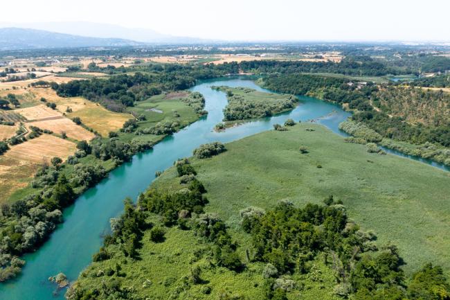 Aerial view