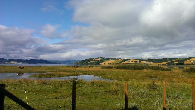 Trondheimsfjorden