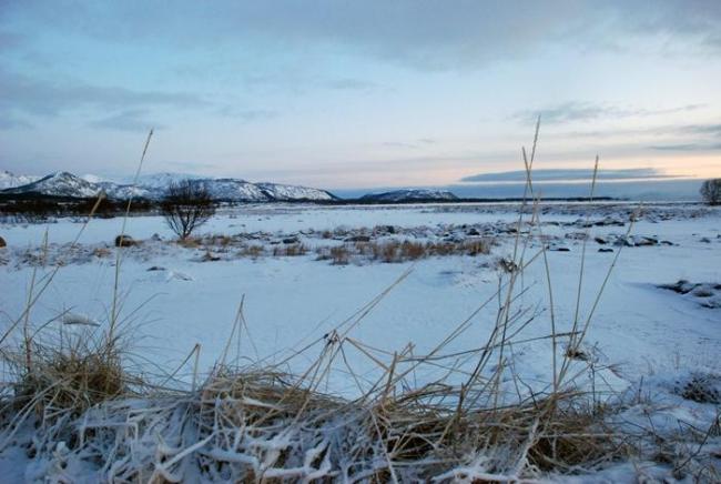 Risøysundet