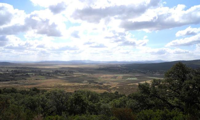 la garaâ sejenane vue de haut de plaine 