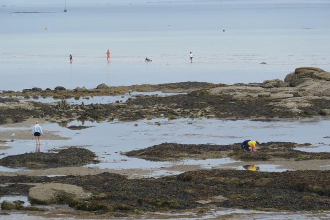 estran du site Ramsar