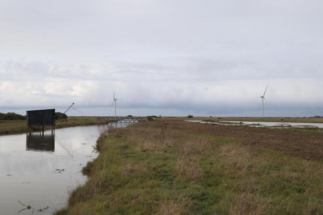 Etier du Dain et marais