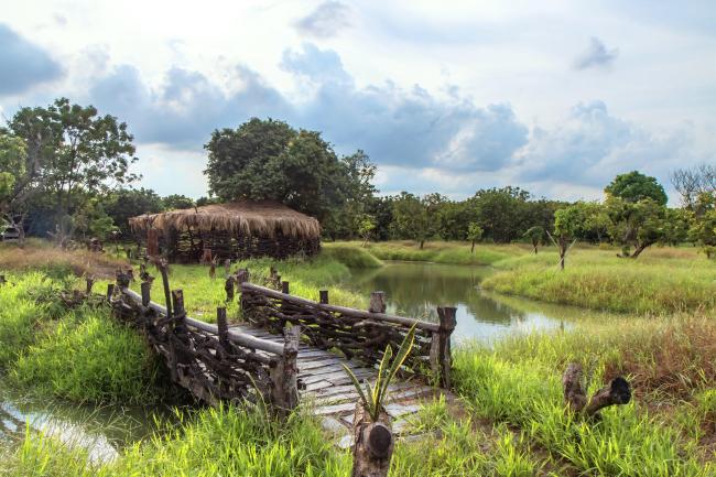 Nature Classroom in Haizhu Wetlands