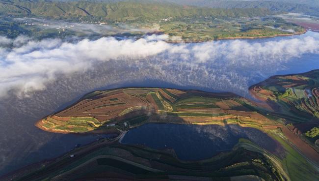 Wetland landscape