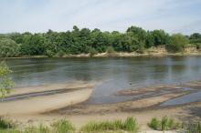 Most of the site is sitiated in the Pripyat River floodplain