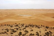Oued As-Saqia Al Hamra persant le barrage de dunes sableuses