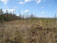 Podvelikiy Moh raised bog