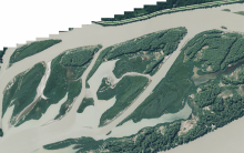 Typical reservoir of the site Unterer Inn with the different stages of succession to alluvial forests