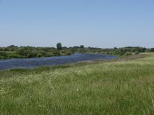 Weser near Hävern/Windheim