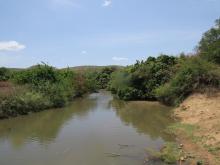 Mare Yanguali dans la plaine d’inondation de la Rivière Pendjari