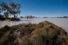 Paroo Mound Spring