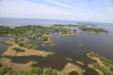Archipelago Velyki and Mali Kuchugury
