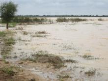 Photo 1: Vue du plan d'eau