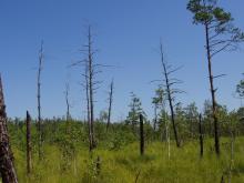 Cheremske Bog 