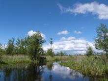 The Stokhid River near Buchin village
