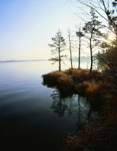 Natural lakes are situated amidst forest and bogs.