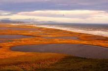 Turberas con lagunas en costa norte