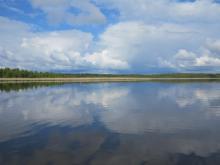 Gammelstadsviken nature reserve