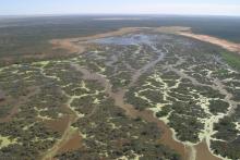 Narran Lake from the air