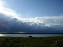 Swidwie Lake Nature Reserve