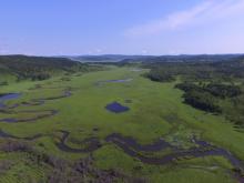 Marshs in Bila River Ramsar Site