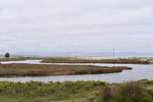 Humedal Salinas Chica