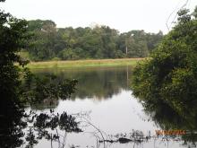 Zone d'Akaka/Rembo-Eshira