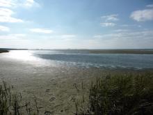 The shallow marine water
