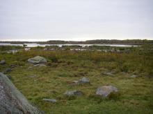 Grazed wetlands of nature reserve Inre Kilsviken.