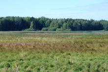 View over one of the southern bays of the lake Fläcksjön.
