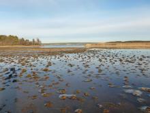 The waterfront in Svensksundsviken. 