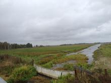 Hammarmaden in the nature reserve Kvismaren.