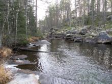 Kniptjärnsbäcken