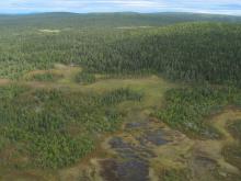 Landscape view Torneträsk-Soppero nature reserve.