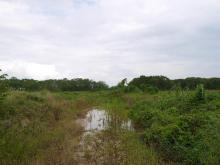 Bahía de Panamá