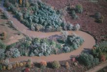 Meandering Rába River.