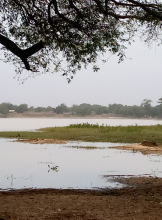 Lac Madarounfa