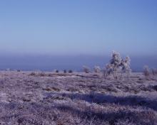 Fagnes en Hivers