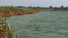 Shabla Lake