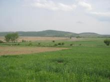 Western part of the wetland with Chepan Mountain in the background.